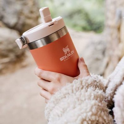 STANLEY IceFlow Stainless Steel Tumbler with Straw, Vacuum Insulated Water Bottle for Home, Office or Car, Reusable Cup with Straw Leakproof Flip